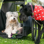 Croozer Dog XL Dog Trailer grasshopper green - Cykelvagnar för Hund