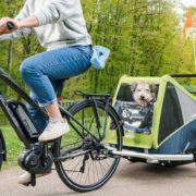 Croozer Dog XL Dog Trailer grasshopper green - Cykelvagnar för Hund